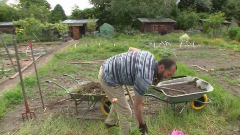 more and more French people cultivate a vegetable garden