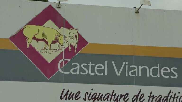 opening of the contaminated meat trial against Castel Viandes