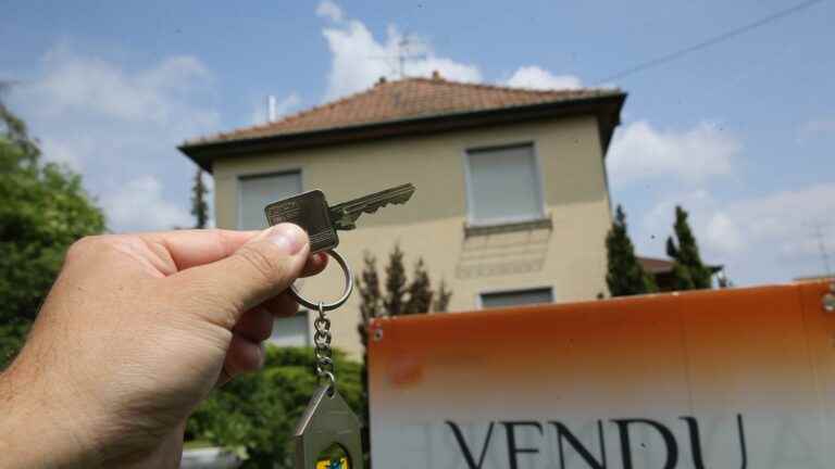 real estate and Livret A are still popular