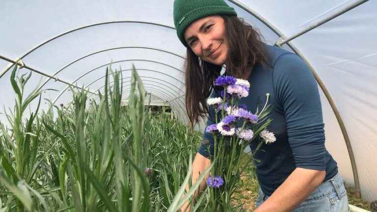 seasonal flowers for Mother’s Day, grown in Baulon, Ille-et-Vilaine