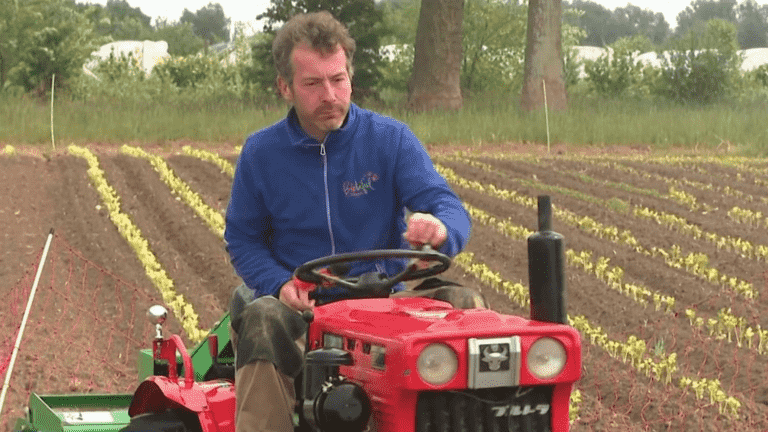 the May drought worries market gardeners