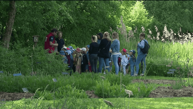 the National Botanical Conservatory of Bailleul is home to more than 1,000 species