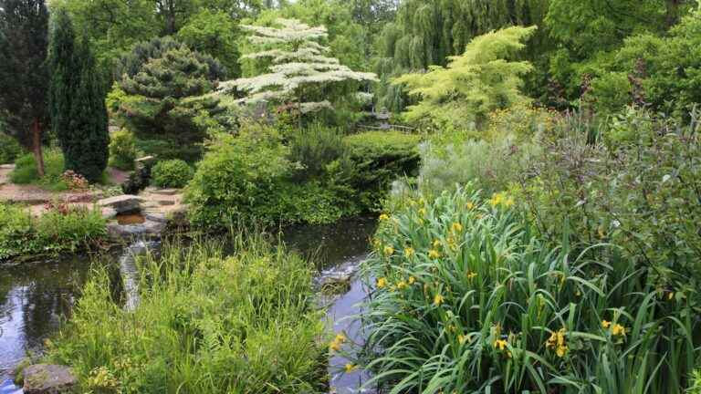 these wetlands that must be protected