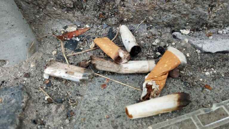 tobacco is “poison for the planet” according to the WHO