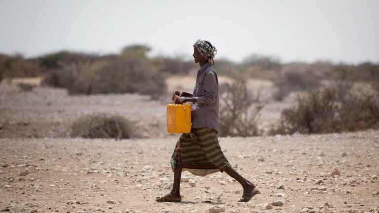 what are the consequences of the drought in Ethiopia, Chile and Iran?