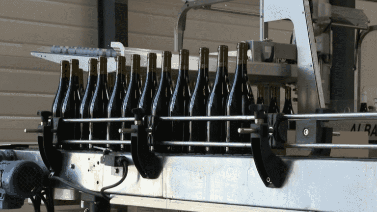 winegrowers fear a shortage of glass