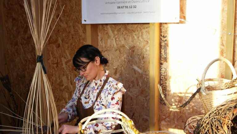 with Angélique Rocheteau, wicker farmer in Surzur (56)