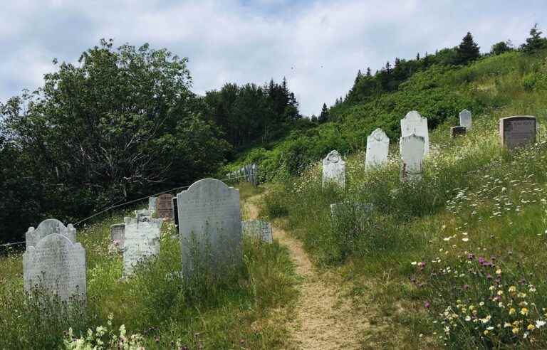 [​Sur la piste des archives] Pierre de Sales Laterrière, doctor and grave robber