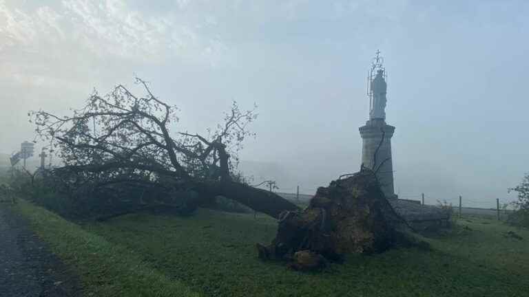 14 municipalities in Dordogne request recognition of the state of natural disaster