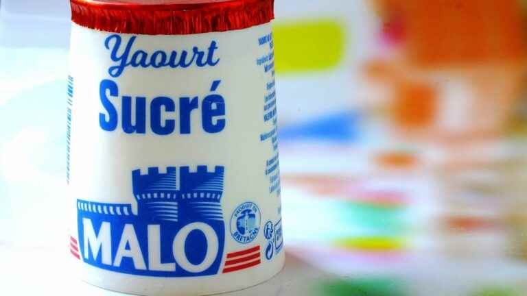 Malo brand yogurts recalled