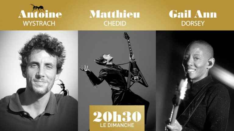 “8:30 p.m. on Sunday” with Matthieu Chedid, Antoine Wystrach and Gail Ann Dorsey – France 2 – 5 June 2022