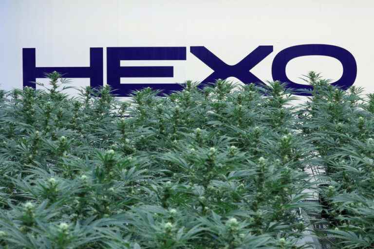 A subsidiary of Hexo under the Creditors Arrangement Act