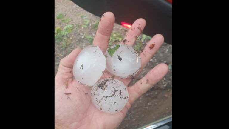 A violent hailstorm causes great damage in the Roannais