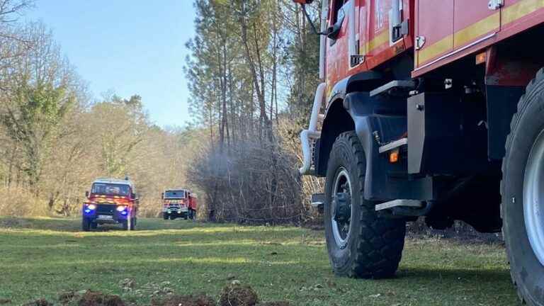 A woman suspected of being at the origin of several fires arrested in Istres