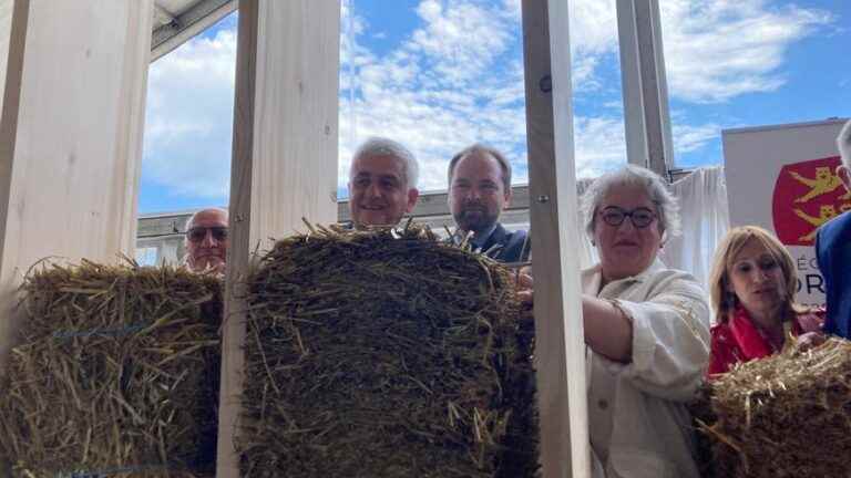 After 40 years of waiting, the construction of the high school begins in Bourg Achard