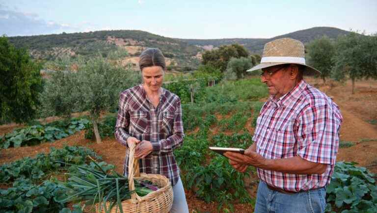 Alliances between farmers and consumers