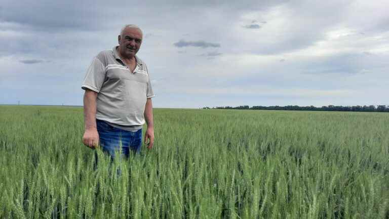 “An idiot like Putin will destroy lives”, the wrath of this Ukrainian wheat producer