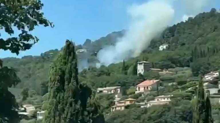 An ongoing fire ravages the heights of Grasse, 90 firefighters mobilized