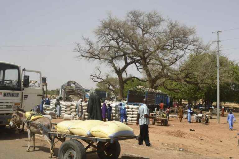 At least 20 civilians and a peacekeeper killed by armed men in Mali