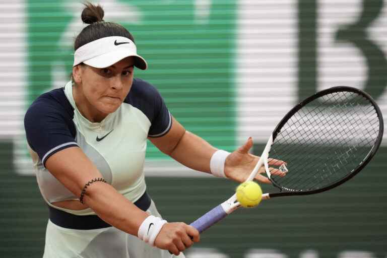 Berlin Open |  Andreescu loses in three sets against Pliskova