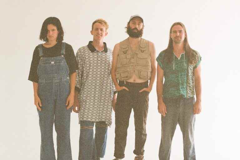 Big Thief cancels shows in Israel