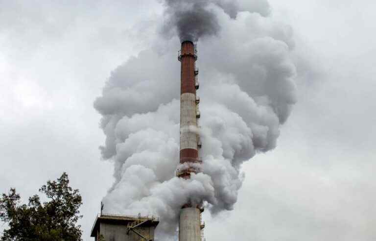 Carbon neutrality targets too vague