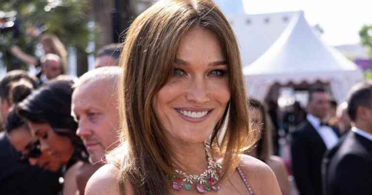 Carla Bruni: Parade in daring and indented dresses, at 54, she impresses!