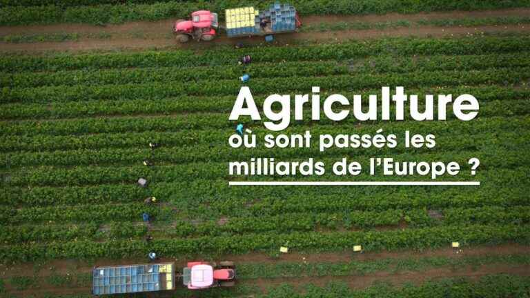 “Cash Investigation”.  Agriculture: where have Europe’s billions gone?  – France 2 – 7 June 2022