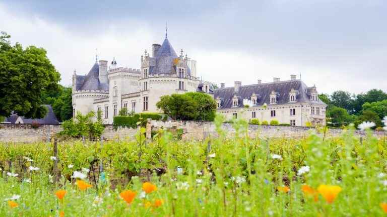 Castle life – Program on France Bleu Mayenne