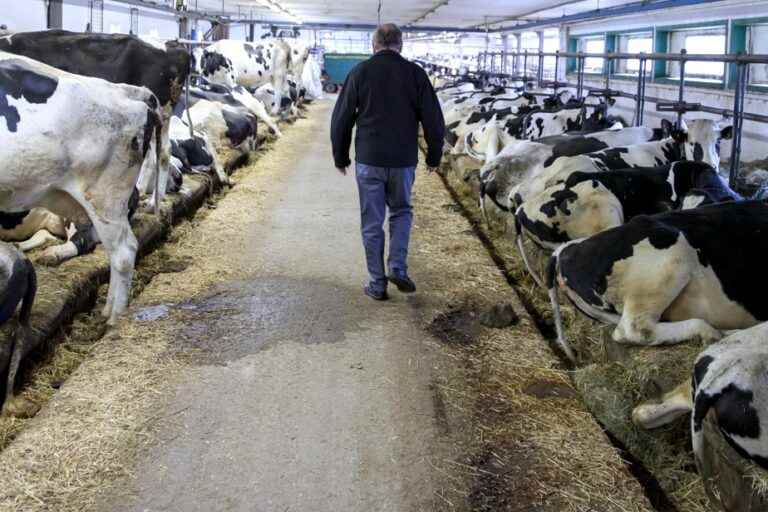 Dairy products |  Canadian growers call for another price hike