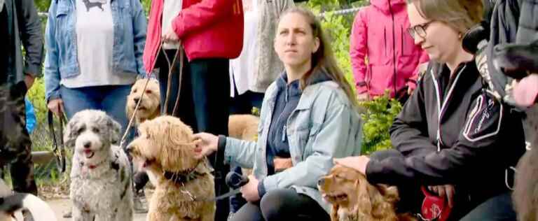 Demonstration to prevent the closure of a dog park in Quebec