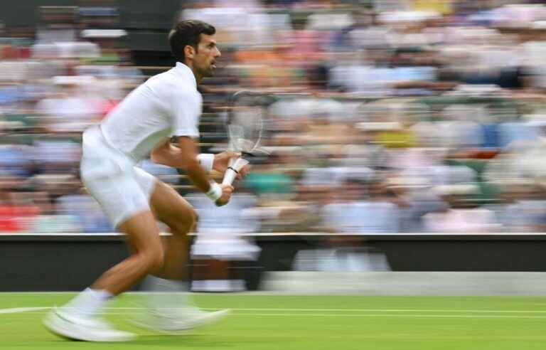 Djokovic takes off and Raducanu crashes at Wimbledon