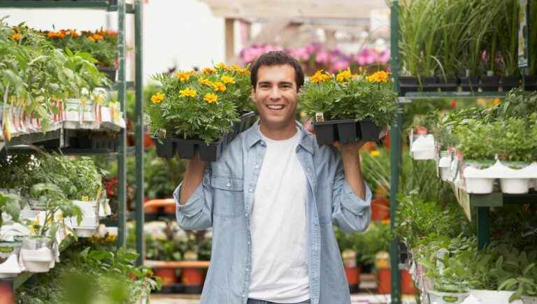 Employment: in Pau, the GE64 is recruiting a Garden Center Salesperson