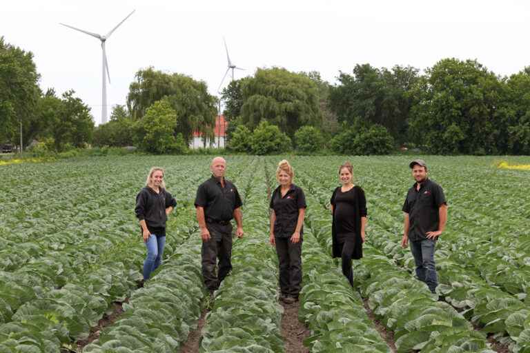 Farming |  Discouraged market gardeners |  The Press