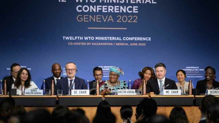 Fisheries, food security… The WTO adopts an “unprecedented” package of measures