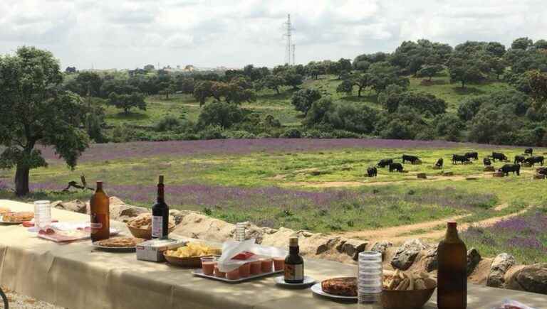 Flavors of Andalusia