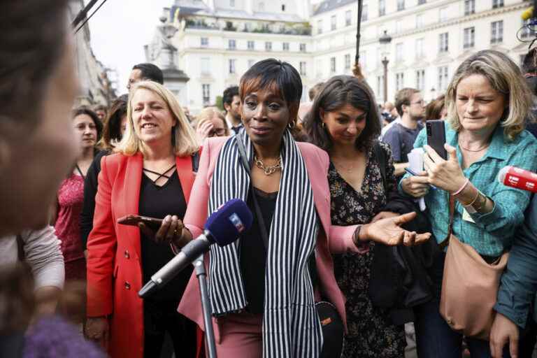 France |  A chambermaid in the National Assembly