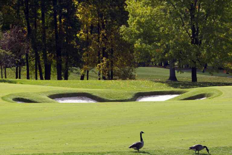 Golf courses in Laval |  Preserve our last green spaces!