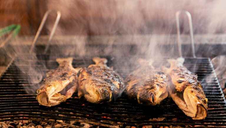 Grilled meats and fish recipes