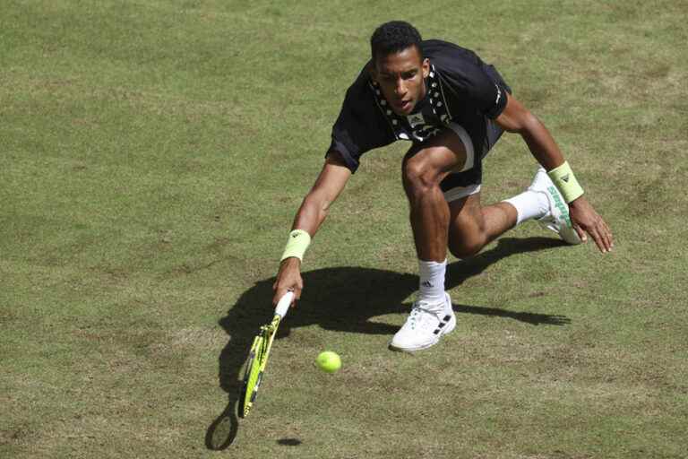 Halle Tournament |  Félix Auger-Aliassime wins with difficulty