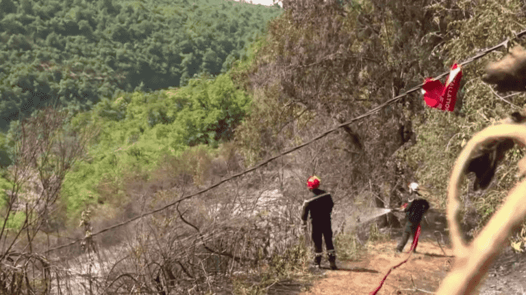 Heat wave: Ardèche faces multiple fires