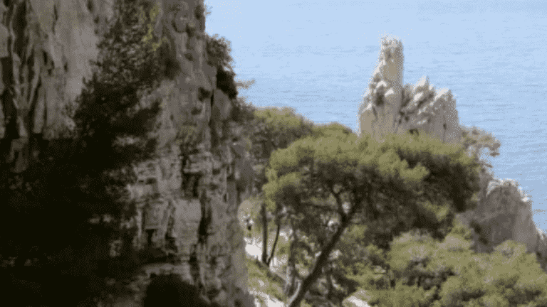 Heritage: reservation required for the Calanques of Marseille