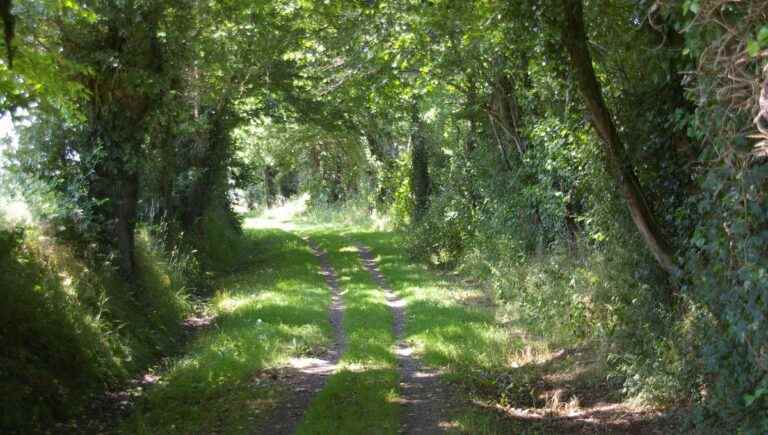 Hike to Saint-Fort from Château-Gontier-sur-Mayenne