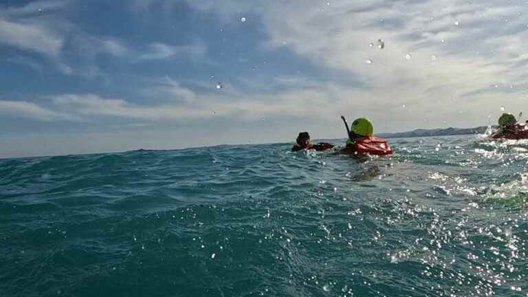 How the SNSM trains its lifeguard swimmers, essential during the summer season