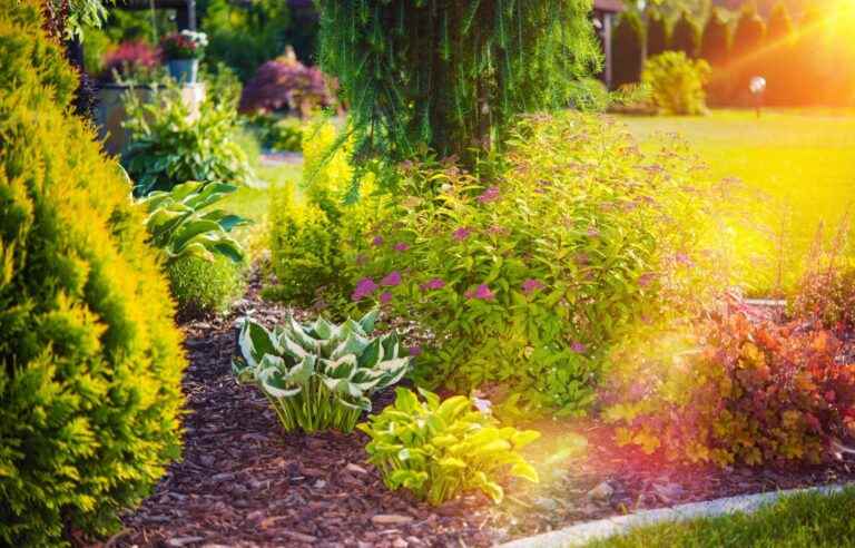 How to make a flower bed in three easy steps