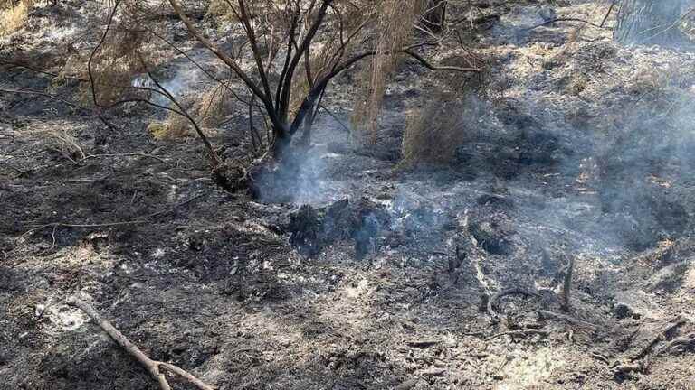 Hundreds of firefighters still mobilized on the 4th day of fires in Drôme and Ardèche