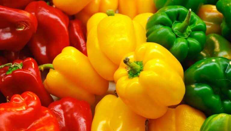 Ideas for peppers in the kitchen with Charles Coulombeau