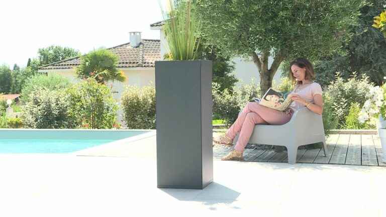 In Isère, a planter transformed into an innovative mosquito trap