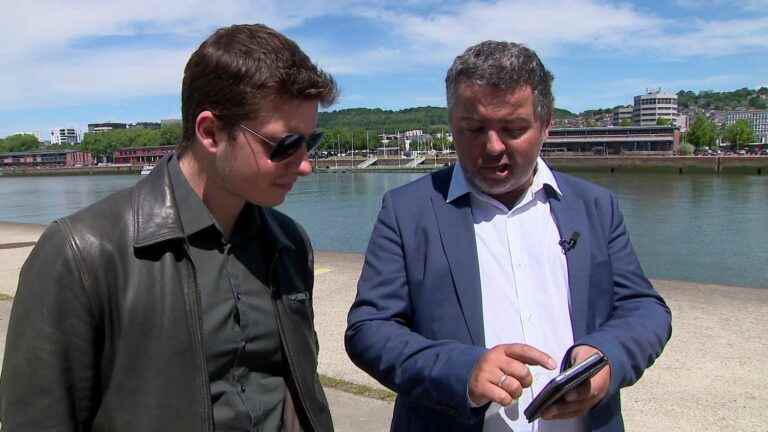 In Rouen, an application provides live information on pollen levels in the metropolis