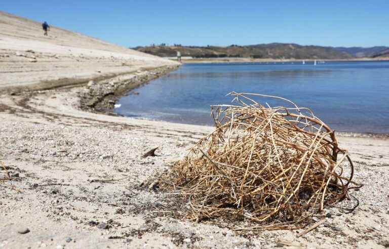 In the grip of a severe drought, California imposes water restrictions